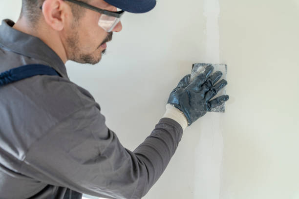 Best Mold Remediation for Vacation Homes  in Snowmass Village, CO
