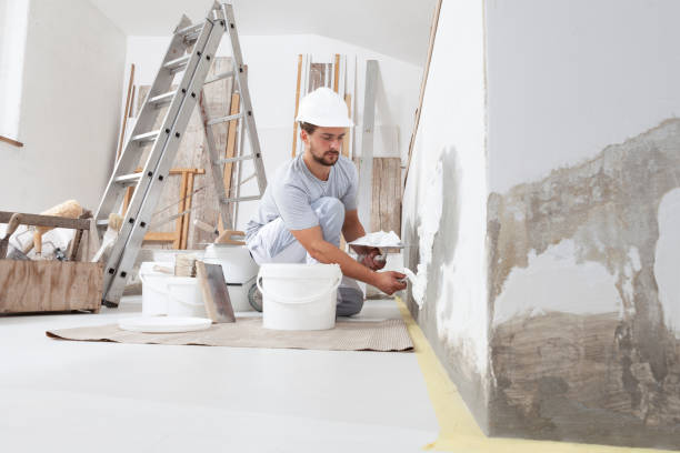 Best Emergency Mold Remediation  in Snowmass Village, CO