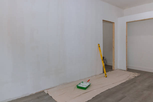 Best Mold Documentation for Insurance Claims  in Snowmass Village, CO
