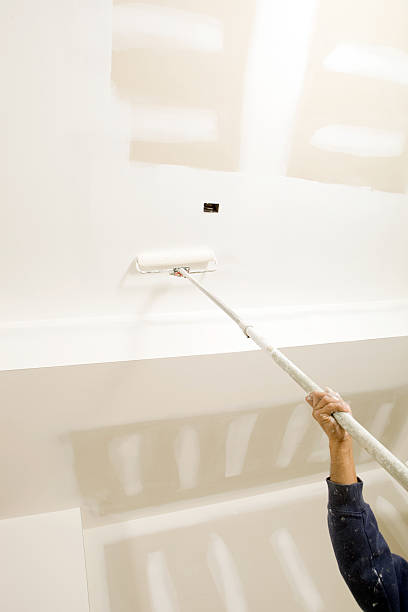 Best Mold Remediation for Healthcare Facilities  in Snowmass Village, CO